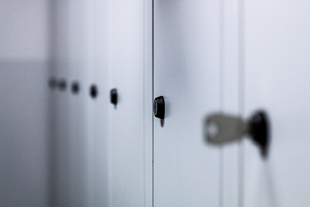 De veelzijdigheid en waarde van lockerkasten in moderne omgevingen