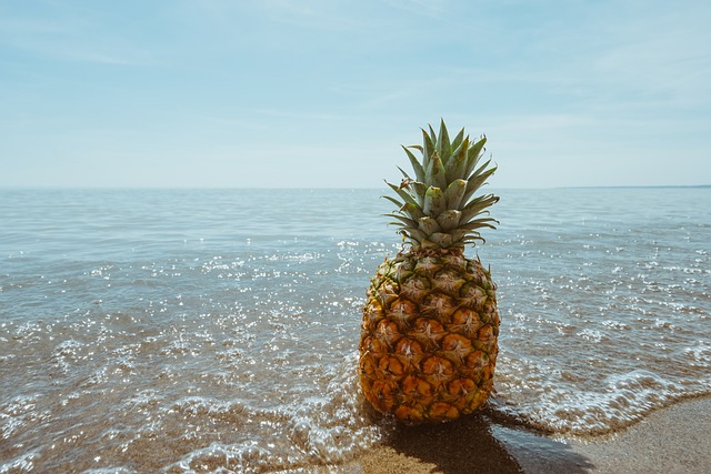 Het wonderlijke leven van de ananasplant: ontdekkingen en verzorgingstips