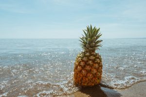 Het wonderlijke leven van de ananasplant: ontdekkingen en verzorgingstips